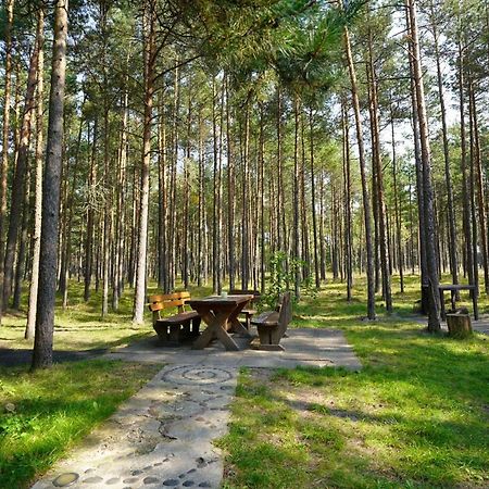 Forest Cottage Neringa Esterno foto