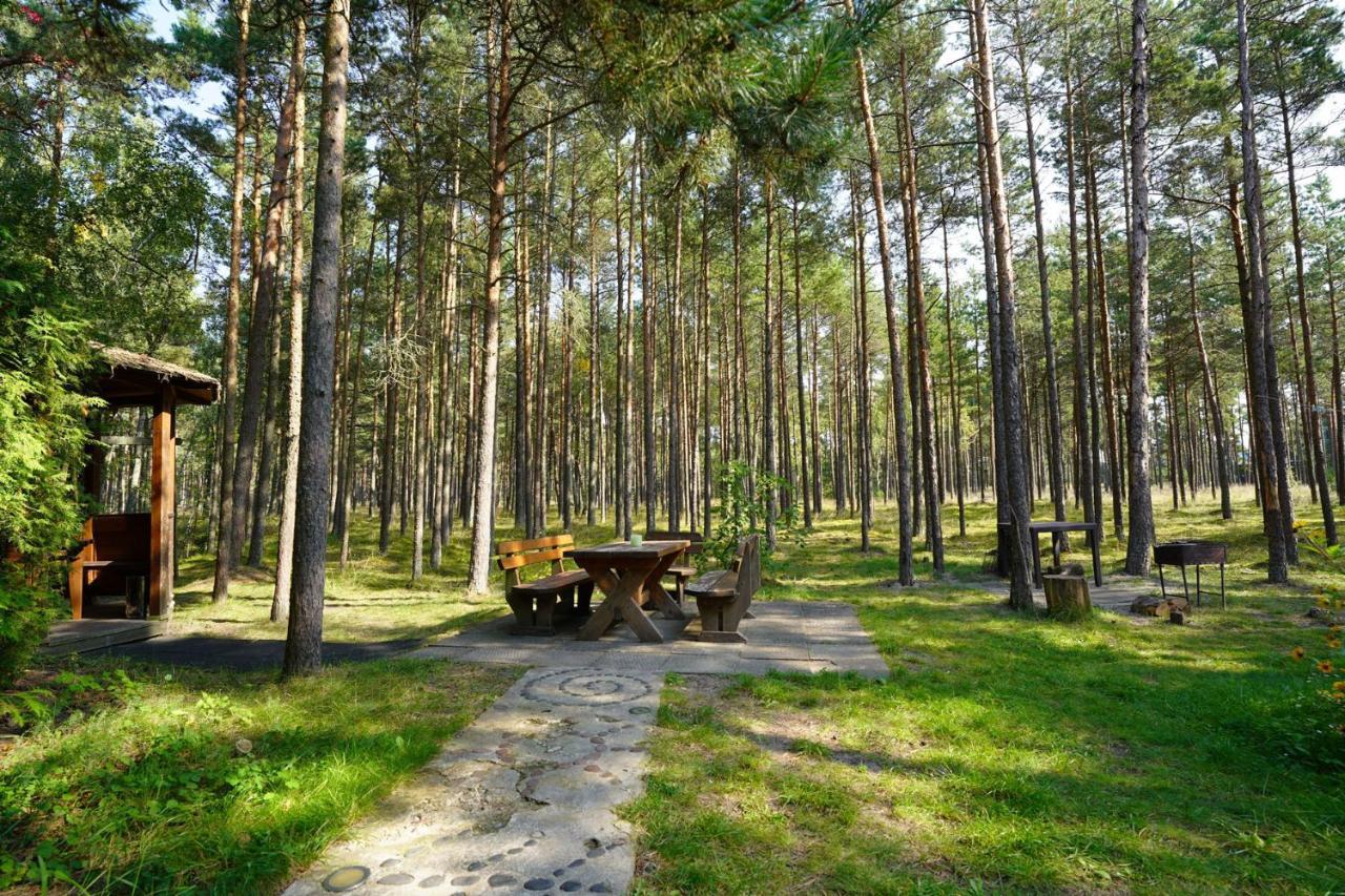 Forest Cottage Neringa Esterno foto